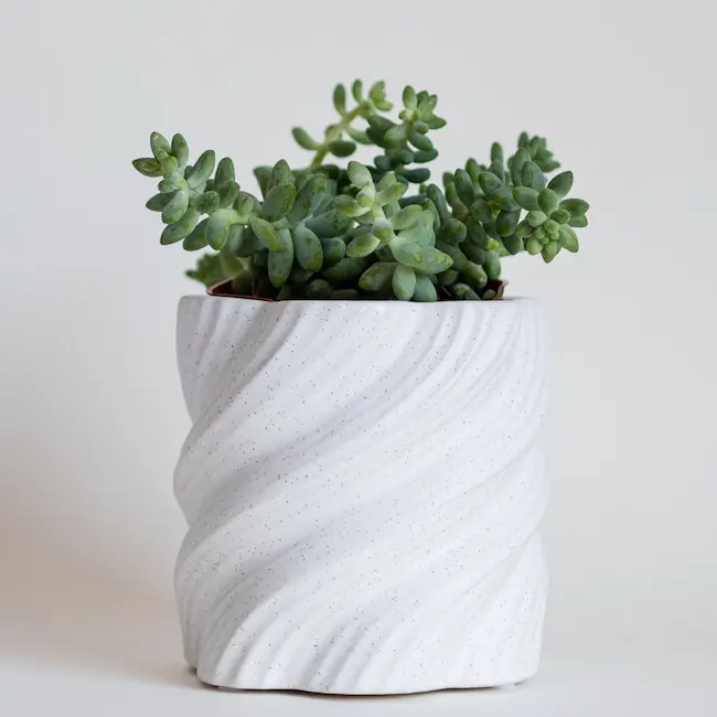 Pots