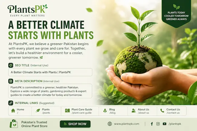 Grow Plants, Save Climate 🌱