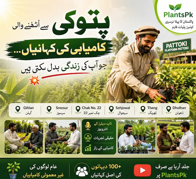 PlantsPk Plant Gallery Image