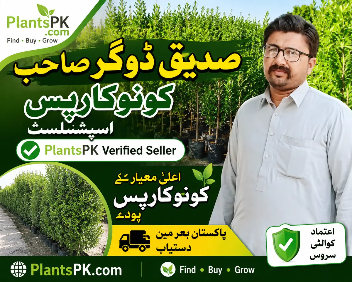 PlantsPk Plant Gallery Image